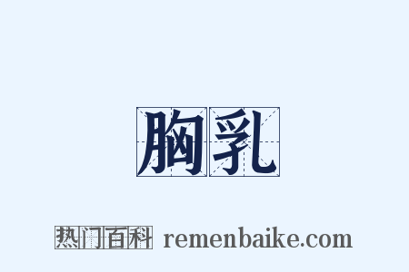 胸乳是什么意思的图片